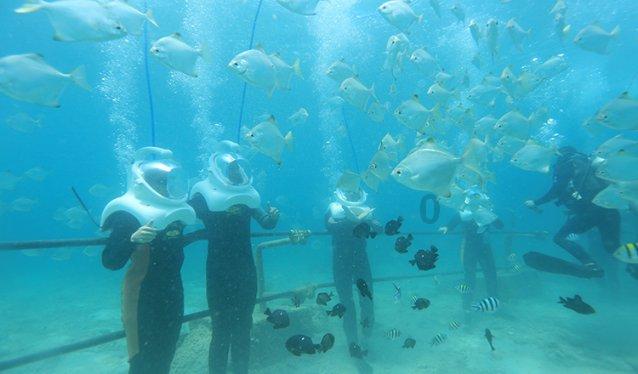 河北文旅走进山西 共谋晋冀旅游新篇章