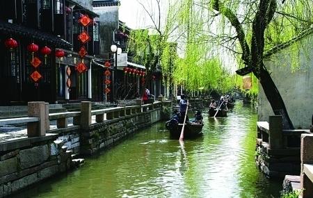 亚当玩高尔夫