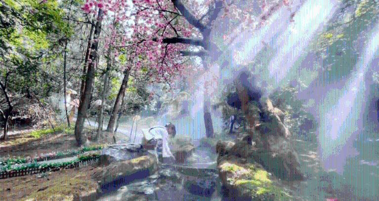 四川女幼师被丈夫杀害，案件的经过是怎样的？游戏画面